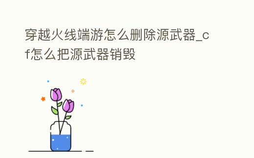 穿越火線端游怎么刪除源武器_cf怎么把源武器銷毀