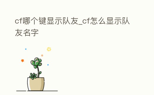cf哪個鍵顯示隊友_cf怎么顯示隊友名字