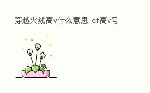 穿越火線高v什么意思_cf高v號