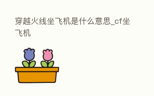穿越火線坐飛機是什么意思_cf坐飛機