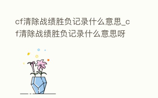 cf清除戰績勝負記錄什么意思_cf清除戰績勝負記錄什么意思呀