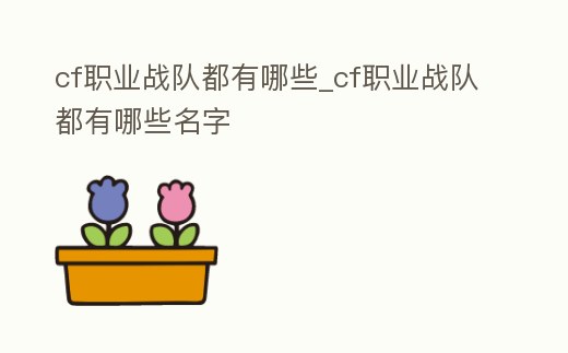 cf職業戰隊都有哪些_cf職業戰隊都有哪些名字