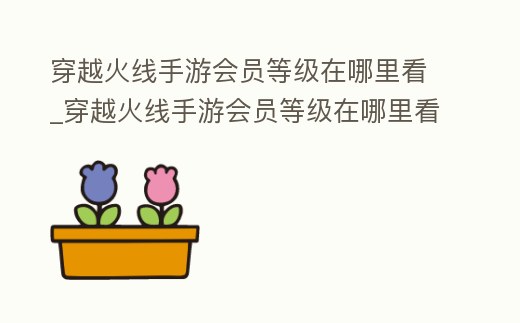 穿越火線手游會員等級在哪里看_穿越火線手游會員等級在哪里看啊
