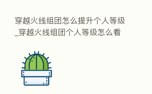 穿越火線組團怎么提升個人等級_穿越火線組團個人等級怎么看