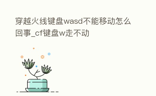 穿越火線鍵盤wasd不能移動怎么回事_cf鍵盤w走不動