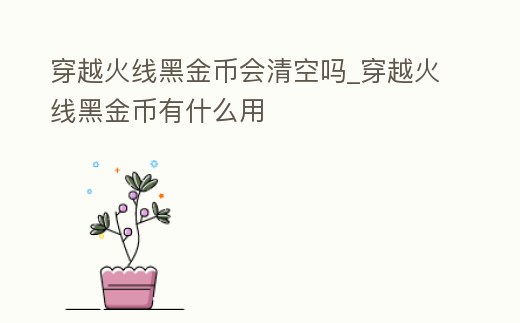 穿越火線黑金幣會清空嗎_穿越火線黑金幣有什么用