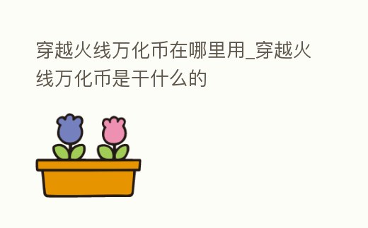 穿越火線萬化幣在哪里用_穿越火線萬化幣是干什么的