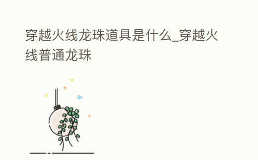穿越火線龍珠道具是什么_穿越火線普通龍珠