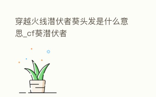 穿越火線潛伏者葵頭發(fā)是什么意思_cf葵潛伏者