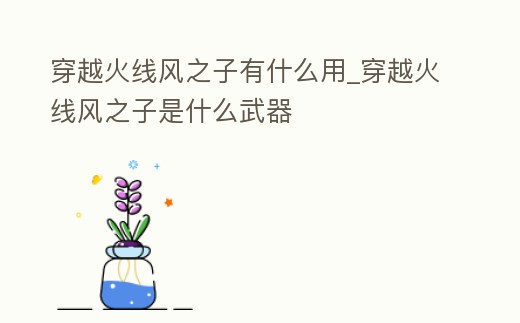 穿越火線風之子有什么用_穿越火線風之子是什么武器