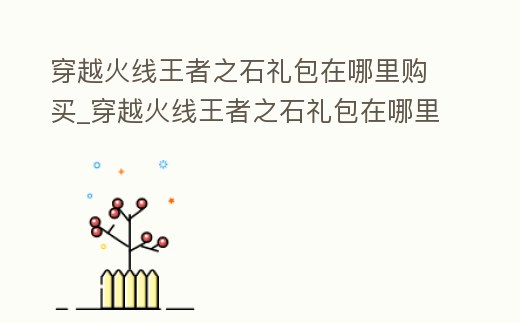 穿越火線王者之石禮包在哪里購買_穿越火線王者之石禮包在哪里購買的