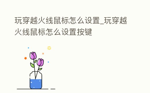 玩穿越火線鼠標怎么設置_玩穿越火線鼠標怎么設置按鍵
