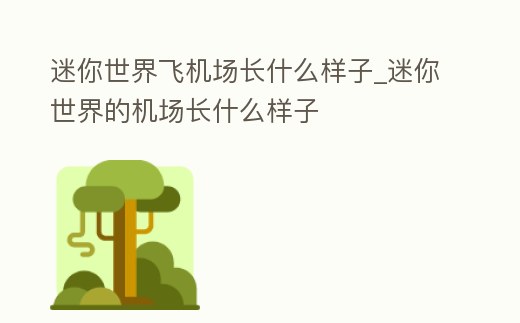迷你世界飛機場長什么樣子_迷你世界的機場長什么樣子