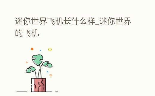 迷你世界飛機長什么樣_迷你世界的飛機