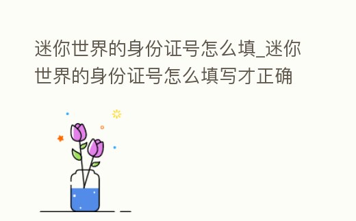 迷你世界的身份證號怎么填_迷你世界的身份證號怎么填寫才正確