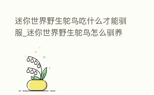 迷你世界野生鴕鳥吃什么才能馴服_迷你世界野生鴕鳥怎么馴養
