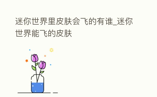 迷你世界里皮膚會飛的有誰_迷你世界能飛的皮膚