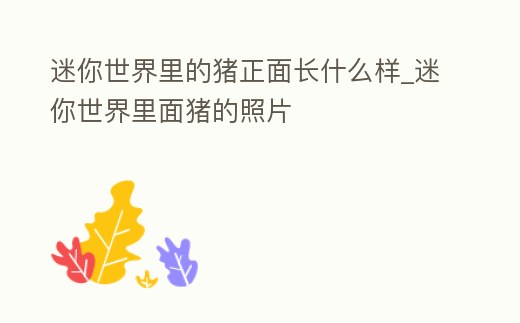迷你世界里的豬正面長什么樣_迷你世界里面豬的照片