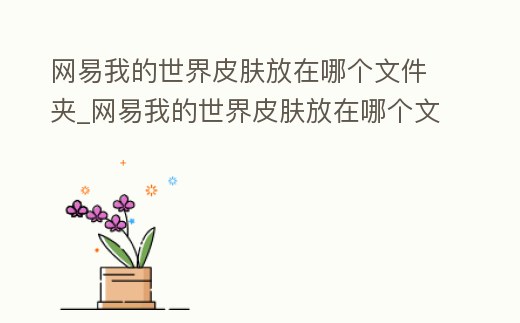 網(wǎng)易我的世界皮膚放在哪個文件夾_網(wǎng)易我的世界皮膚放在哪個文件夾里面