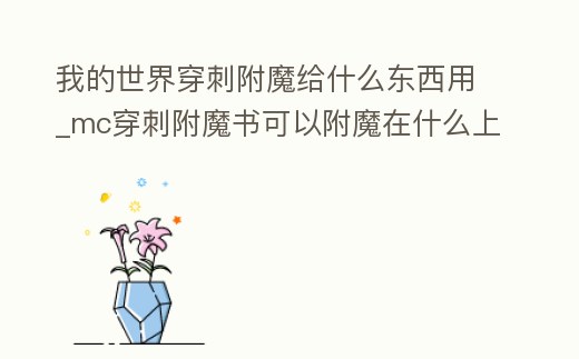 我的世界穿刺附魔給什么東西用_mc穿刺附魔書可以附魔在什么上