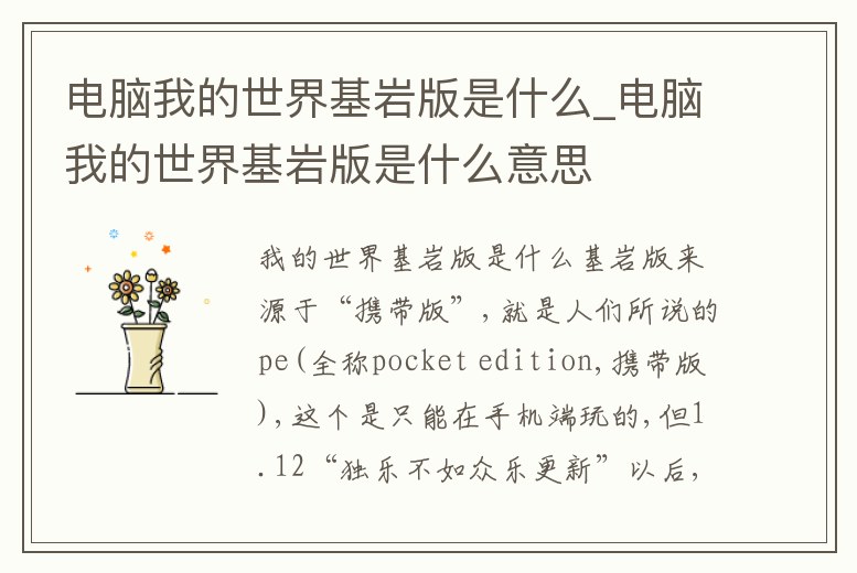 電腦我的世界基巖版是什么_電腦我的世界基巖版是什么意思