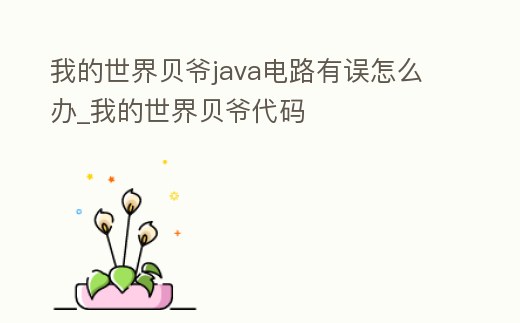 我的世界貝爺java電路有誤怎么辦_我的世界貝爺代碼