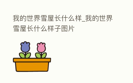 我的世界雪屋長什么樣_我的世界雪屋長什么樣子圖片