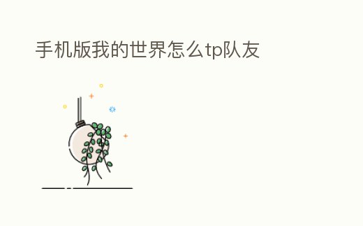 手機版我的世界怎么tp隊友