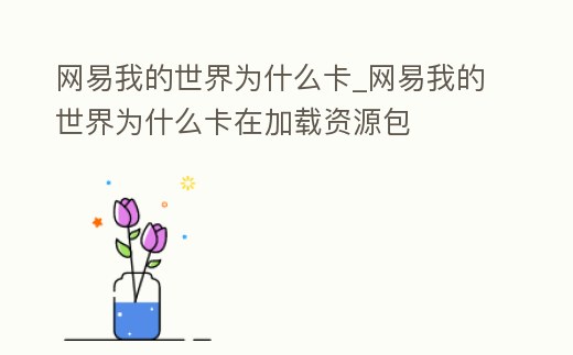 網(wǎng)易我的世界為什么卡_網(wǎng)易我的世界為什么卡在加載資源包