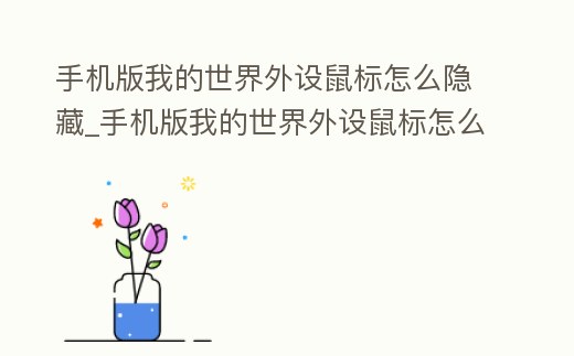 手機版我的世界外設鼠標怎么隱藏_手機版我的世界外設鼠標怎么隱藏圖標