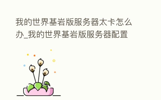 我的世界基巖版服務器太卡怎么辦_我的世界基巖版服務器配置