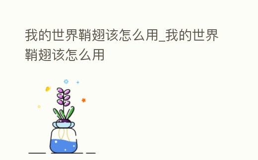 我的世界鞘翅該怎么用_我的世界鞘翅該怎么用