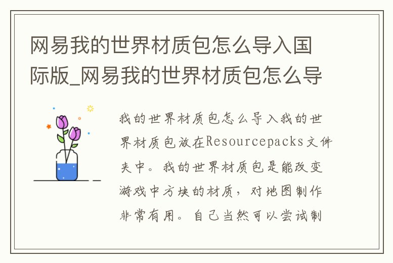 網易我的世界材質包怎么導入國際版_網易我的世界材質包怎么導入國際版下載