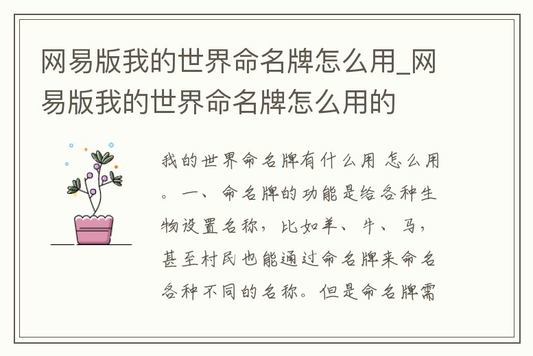 網易版我的世界命名牌怎么用_網易版我的世界命名牌怎么用的