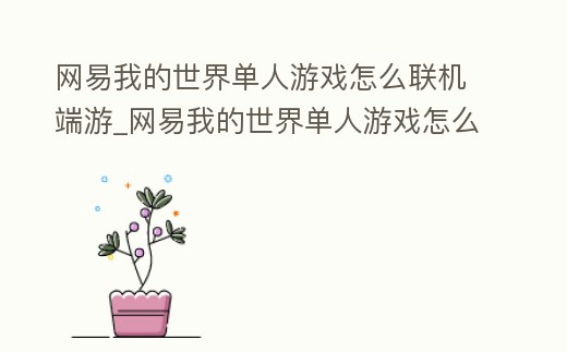 網(wǎng)易我的世界單人游戲怎么聯(lián)機端游_網(wǎng)易我的世界單人游戲怎么聯(lián)機端游