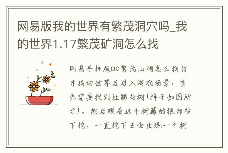 網易版我的世界有繁茂洞穴嗎_我的世界1.17繁茂礦洞怎么找