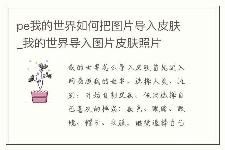 pe我的世界如何把圖片導(dǎo)入皮膚_我的世界導(dǎo)入圖片皮膚照片