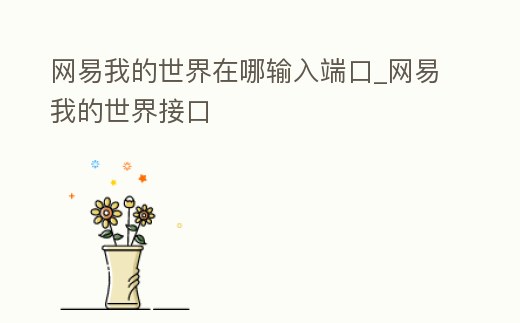 網易我的世界在哪輸入端口_網易我的世界接口