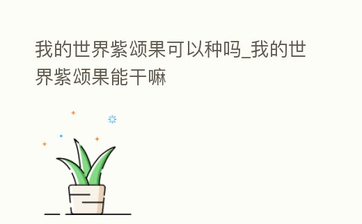 我的世界紫頌果可以種嗎_我的世界紫頌果能干嘛
