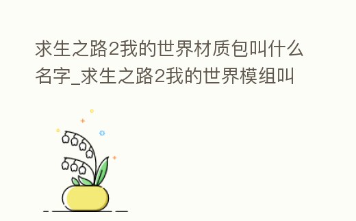 求生之路2我的世界材質包叫什么名字_求生之路2我的世界模組叫什么名字