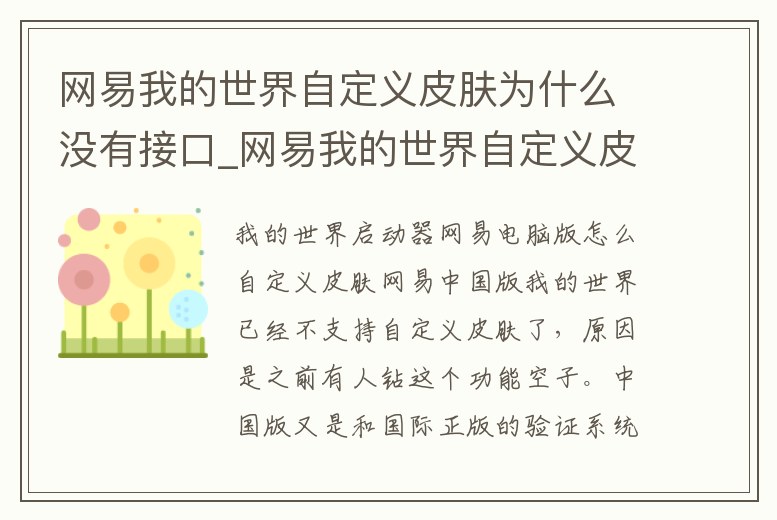 網易我的世界自定義皮膚為什么沒有接口_網易我的世界自定義皮膚為什么沒有接口設置