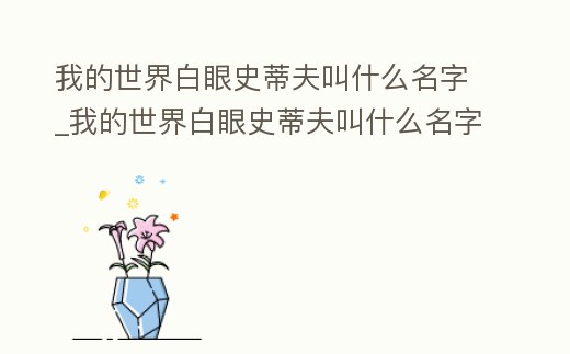 我的世界白眼史蒂夫叫什么名字_我的世界白眼史蒂夫叫什么名字啊