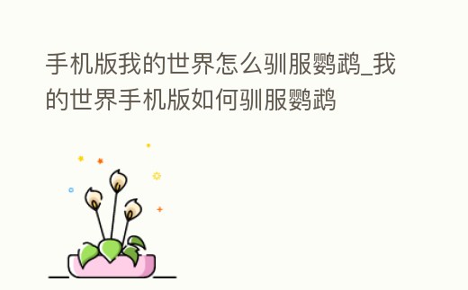 手機(jī)版我的世界怎么馴服鸚鵡_我的世界手機(jī)版如何馴服鸚鵡