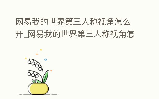 網(wǎng)易我的世界第三人稱視角怎么開_網(wǎng)易我的世界第三人稱視角怎么開