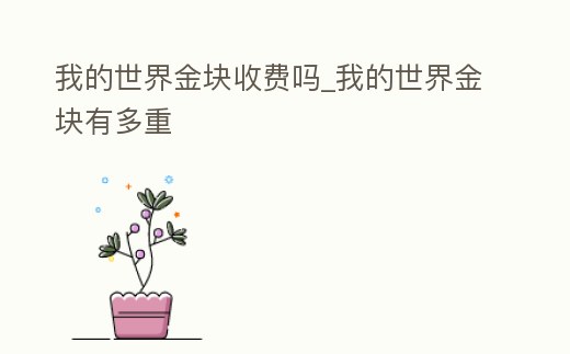 我的世界金塊收費嗎_我的世界金塊有多重