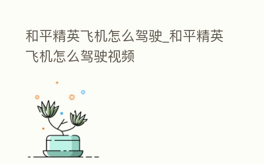 和平精英飛機怎么駕駛_和平精英飛機怎么駕駛視頻