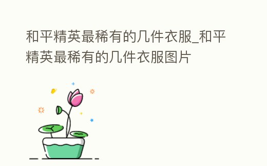 和平精英最稀有的幾件衣服_和平精英最稀有的幾件衣服圖片