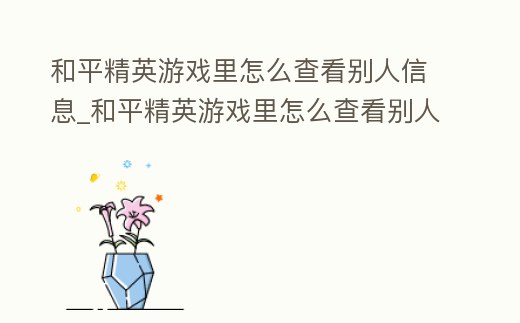 和平精英游戲里怎么查看別人信息_和平精英游戲里怎么查看別人信息內容