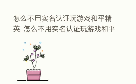 怎么不用實名認證玩游戲和平精英_怎么不用實名認證玩游戲和平精英微信