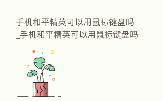 手機(jī)和平精英可以用鼠標(biāo)鍵盤嗎_手機(jī)和平精英可以用鼠標(biāo)鍵盤嗎
